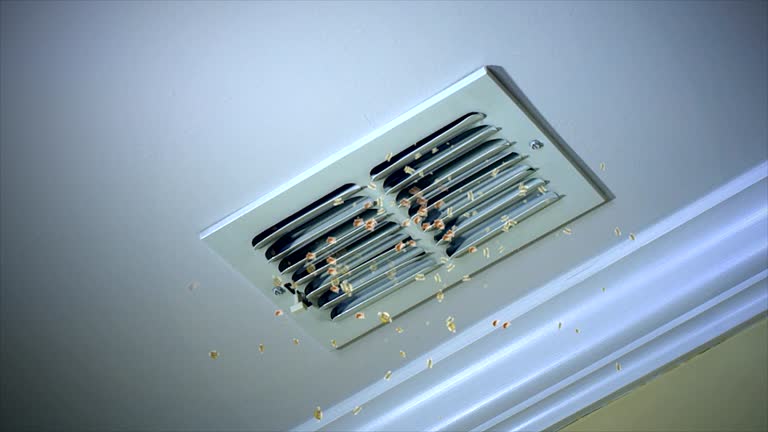Best Air Duct Cleaning Company Near Me  in East Point, GA
