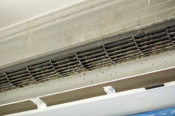 Best HVAC Air Duct Cleaning  in East Point, GA